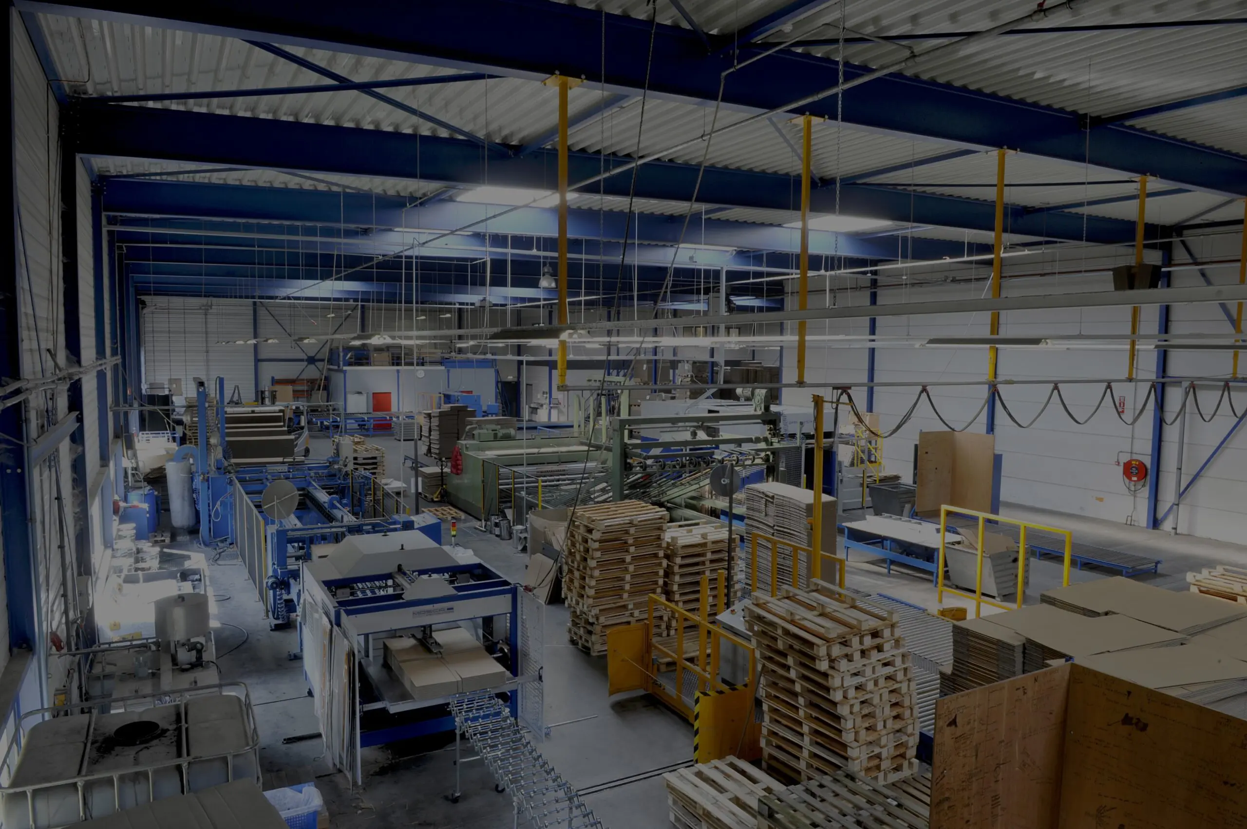 Dozen site productiehal voor kartonnen maatwerkdozen.